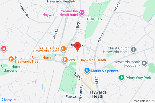 Newton Surgery
