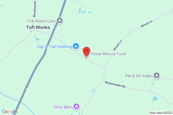 The Horse Rescue Fund