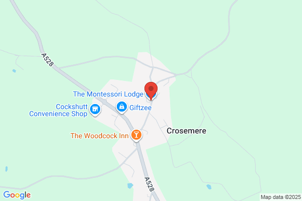 The Montessori Lodge
