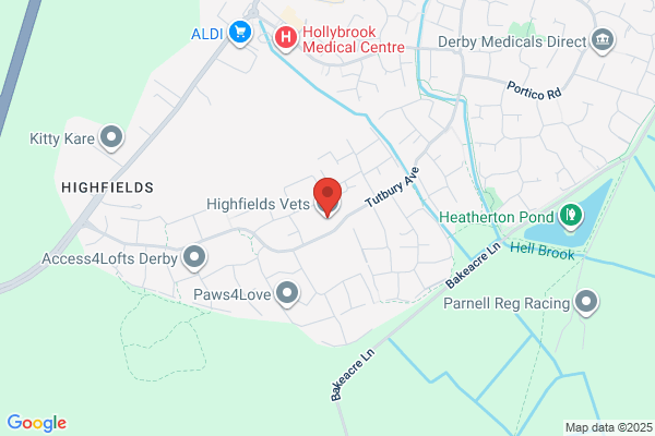 Highfields Vets