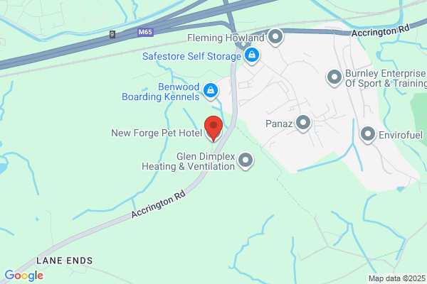 Pet Hotel Ltd