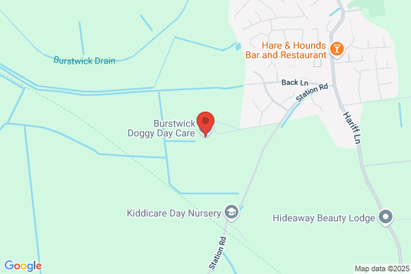 Stud Farm Kennels & Posh Paw Cattery