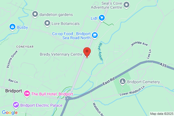 Bredy Veterinary Centre