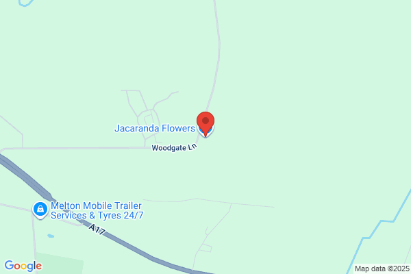 Jacaranda Flower Shop