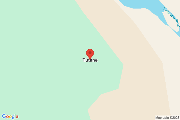 Tutane