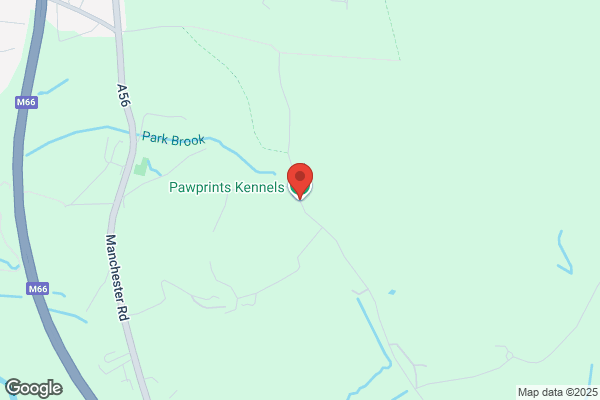 K9 Paws Services Ltd