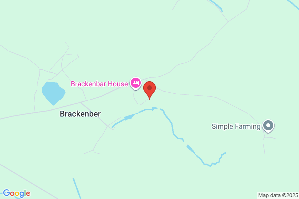 Bracken