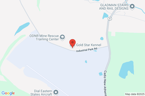 Gold Star Boarding Kennels