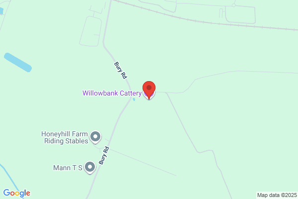 Willowbank Cattery