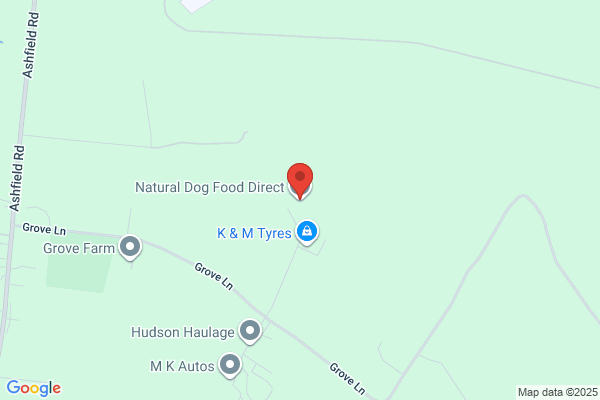 The Dog Company