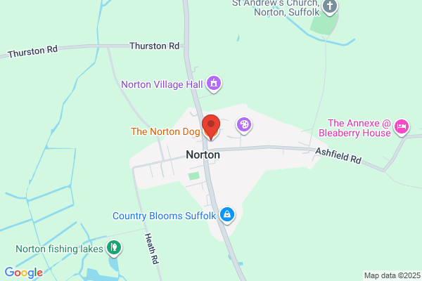 Norton Dog,The