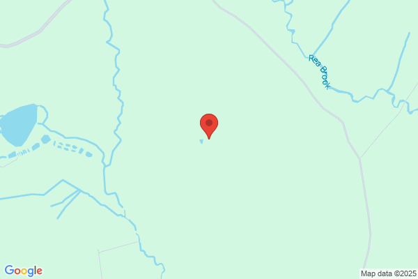 Woodpond Ltd