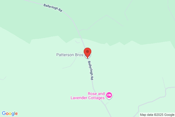 Pattersons