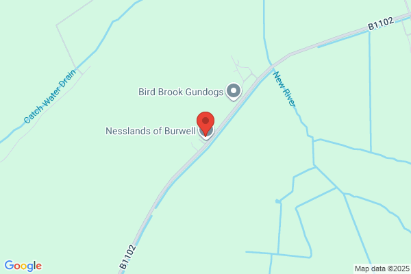 Nessland Kennels