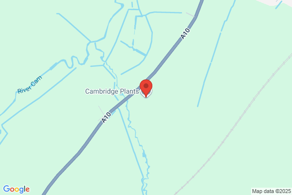 Cambridge Plant Interiors Ltd