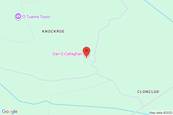 D O'Callaghan