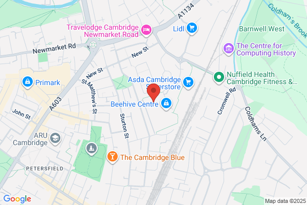 Hobby Stores