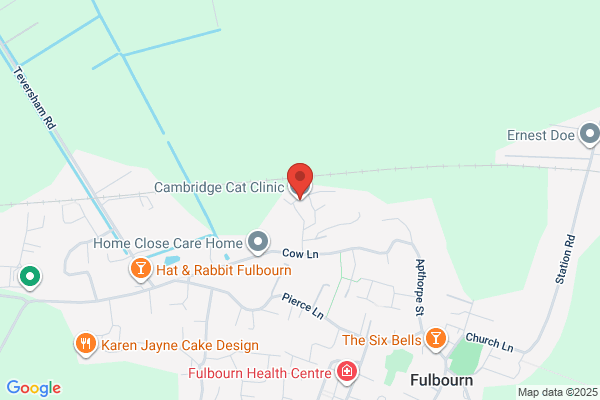 Cambridge Cat Clinic