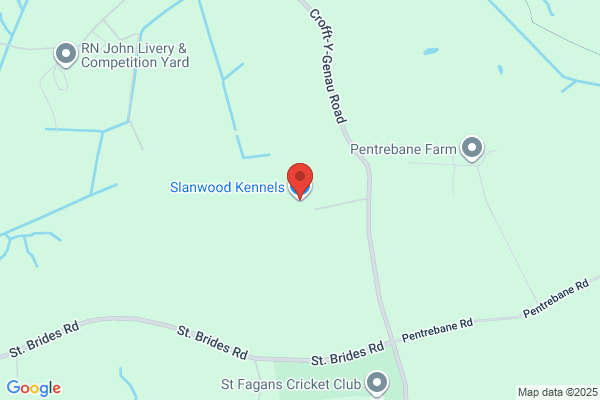 Slanwood Kennels Cattery & Dog Grooming
