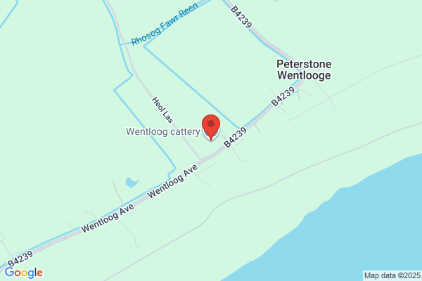 Wentloog Boarding Kennels & Cattery