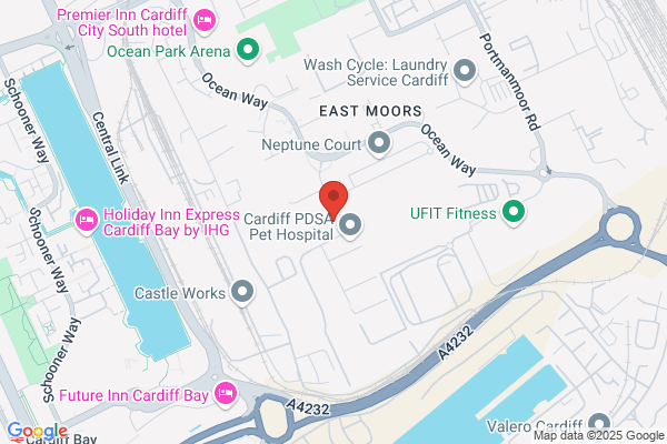Carter Lauren Construction Ltd