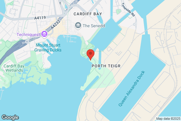 The Point