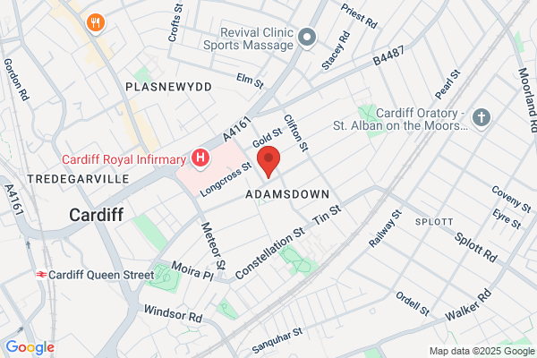 Cardiff Ford & Deisel Specialists