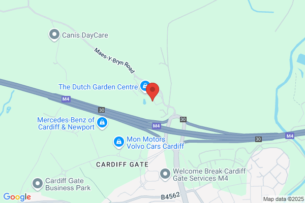 Tree Squadron - Cardiff Tree Surgeons