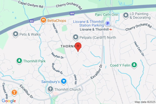 Cardiff Tree Surgery