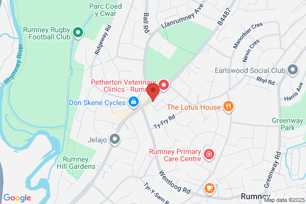 Rumney Physiotherapy Clinic