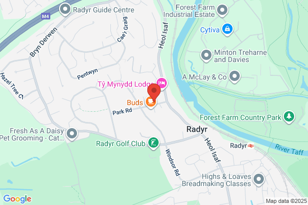 Radyr County Junior & Infants School