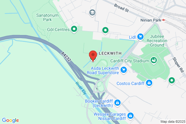 Cardiff Athletic Stadium