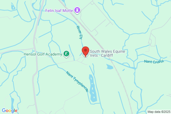 South Wales Equine Vets - Cardiff