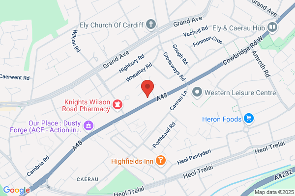 Vets4Pets - Cardiff Ely