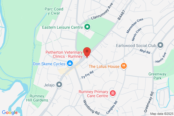 Petherton Veterinary Surgery