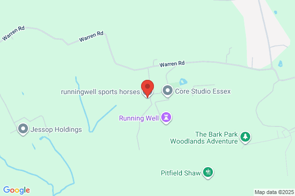 J & R Rusling Rocking Horses