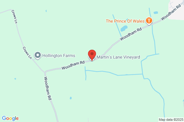 Martin's