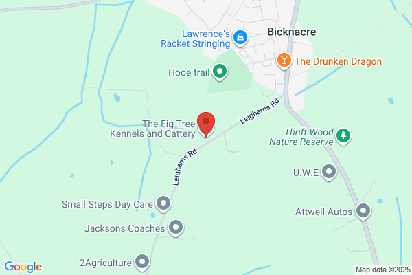 Bicknacre Boarding Kennels