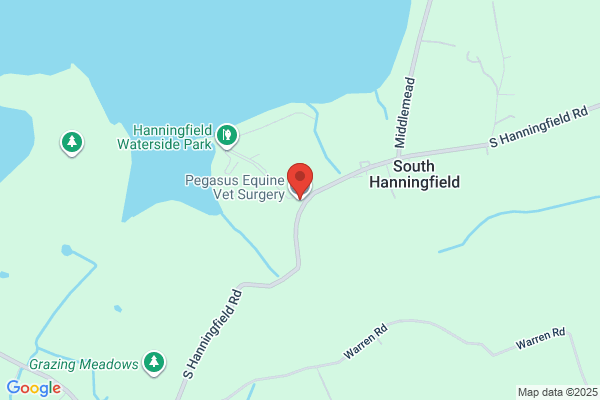 Pegasus Equine Veterinary Surgery