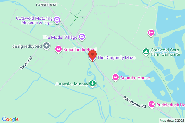 The Dragonfly Maze