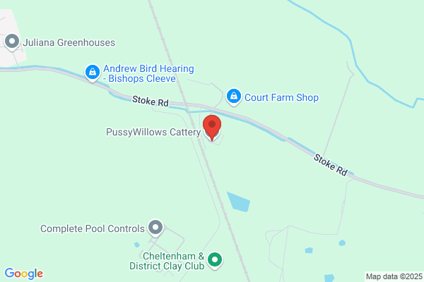 Pussy Willows Cattery