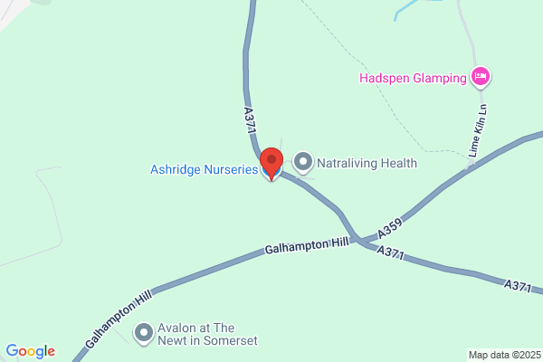 Ash Nurseries