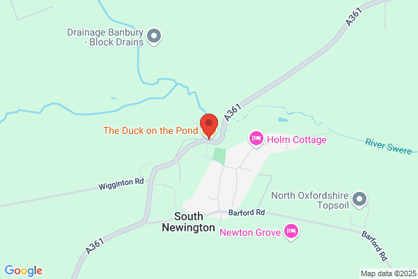 Duck On The Pond