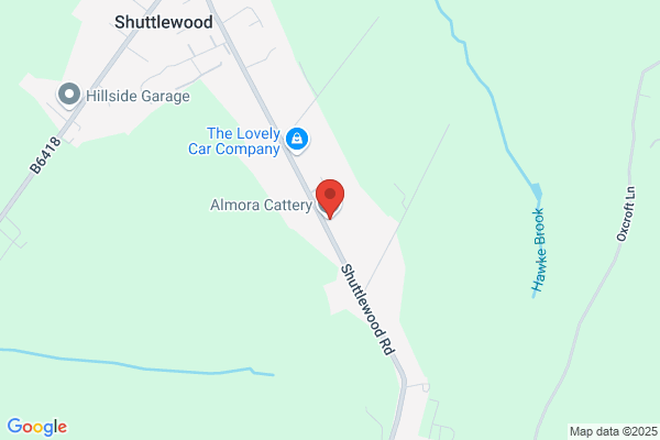 Almora Cattery