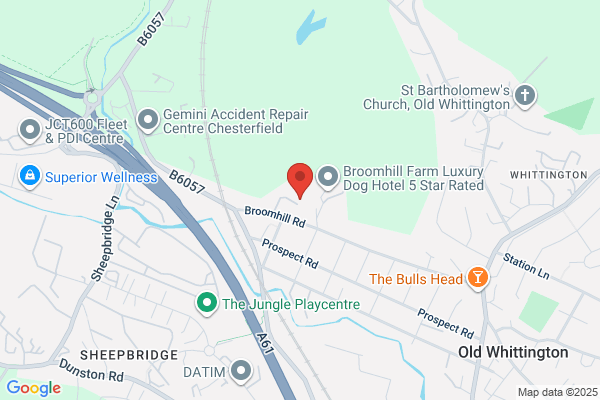 Chesterfield Cattery