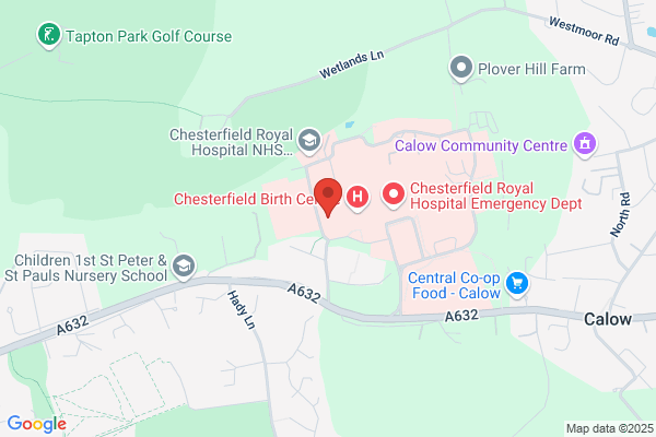 The Holywell Health Care