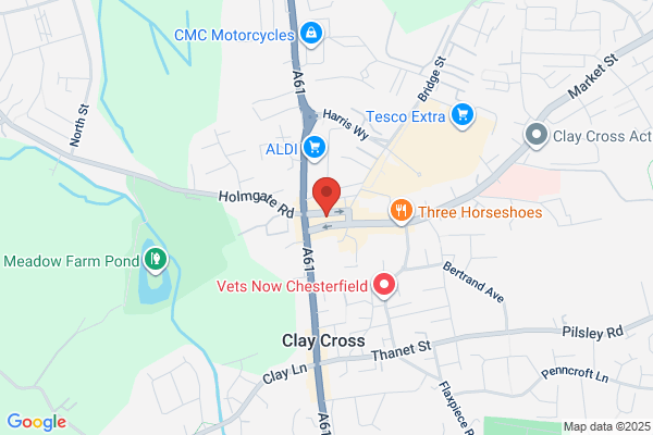 Eyre Street Dental