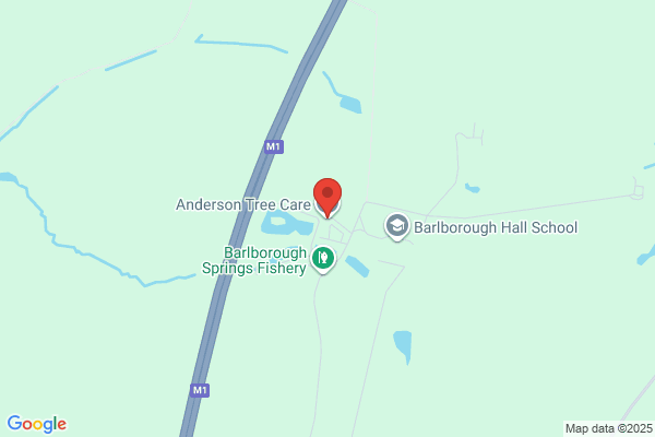 Anderson Tree Care