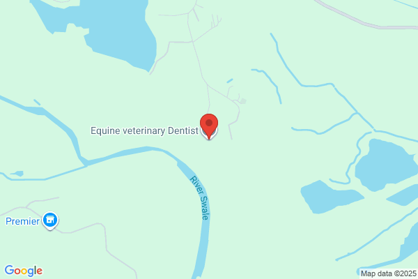 Equine Dentist