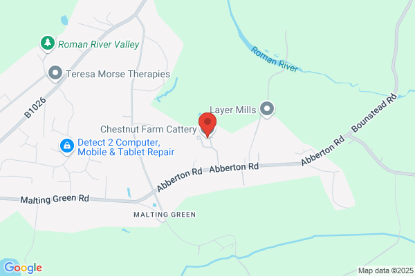 Chestnut Farm Cattery